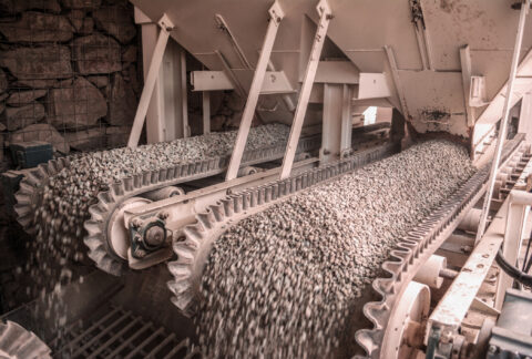 Conveyor Belts