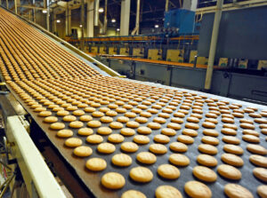 conveyor belt services Georgia, conveyor belt repair Georgia, conveyor belt installation Georgia, conveyor belt splicing Georgia, hot vulcanized splicing Georgia, mechanical belt splicing Georgia, conveyor maintenance Georgia, conveyor troubleshooting Georgia, custom conveyor fabrication Georgia, industrial conveyor systems Georgia, conveyor components Georgia, conveyor belts Georgia, pulley lagging Georgia, conveyor belt cleaners Georgia, skirting systems Georgia, impact beds Georgia, conveyor repair company Georgia, industrial rubber products Georgia, 24/7 conveyor repair Georgia, conveyor consulting Georgia